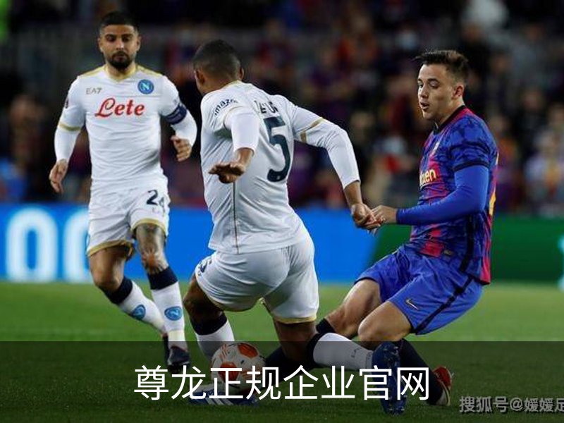 尊龙正规企业官网 - 国际视讯娱乐科技资质公示
