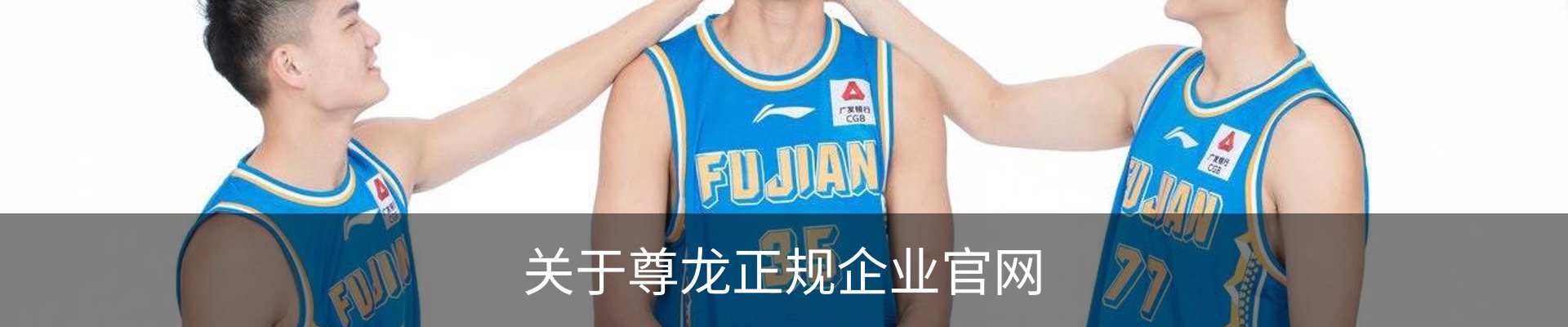 关于尊龙正规企业官网