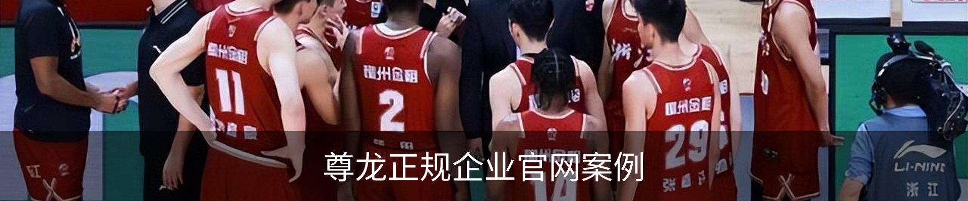 尊龙正规企业官网案例
